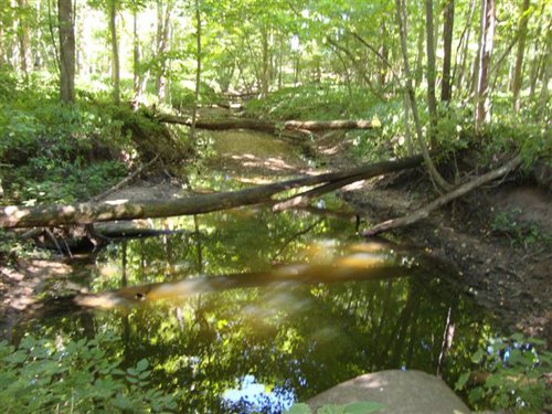 Property photo 2 - 75.5 Acres Offered in 5 Tracts